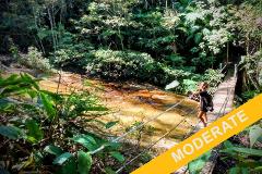 Adventure & History at Tijuca Forest (private)