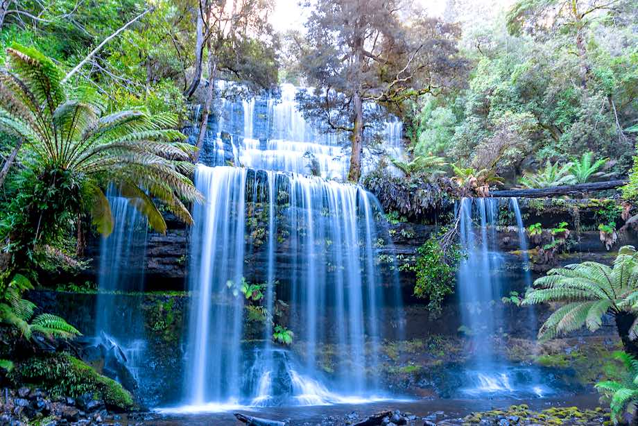 Russell Falls Tour from Hobart