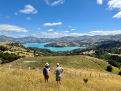 Private Akaroa Day Trip & Nature Cruise