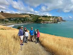Full Day Godley Head Walk