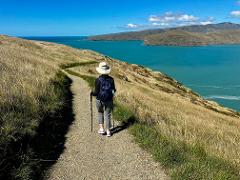 Private Half Day Godley Head Walk (GYG)