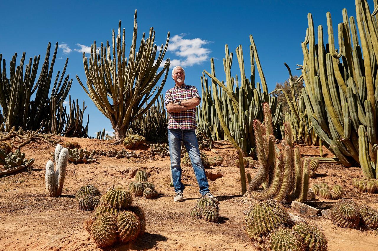 ULTIMATE CACTUS COUNTRY EXPERIENCE