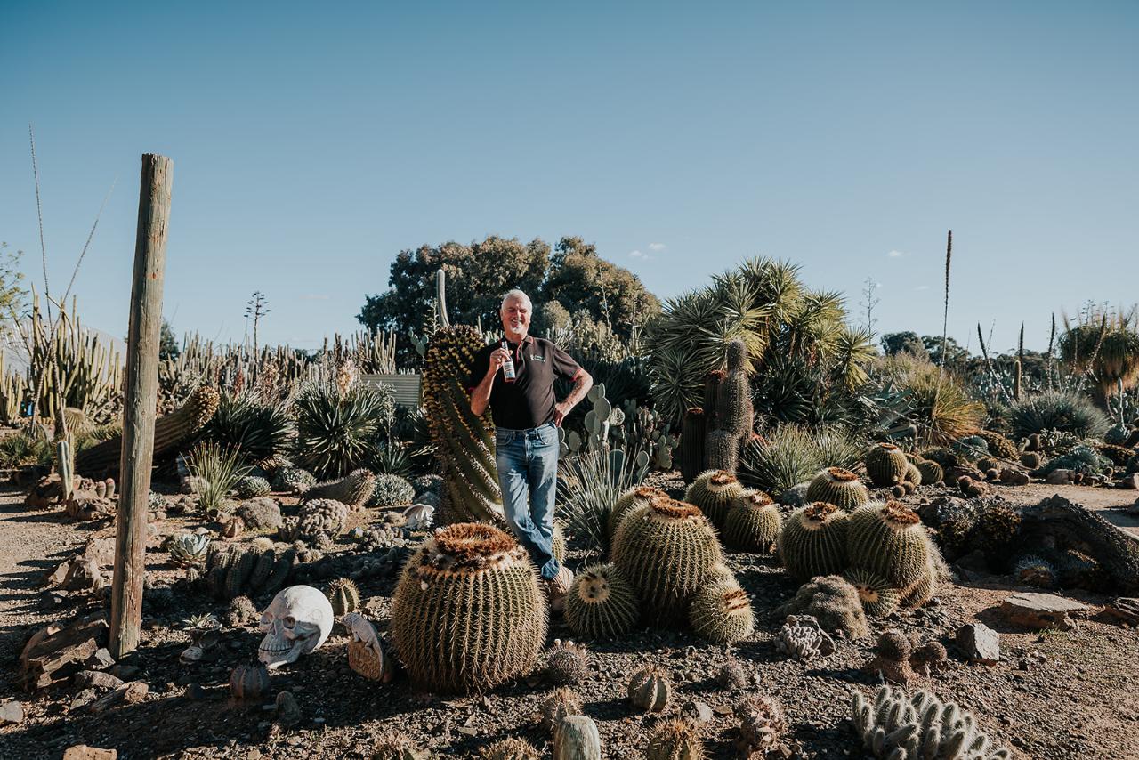 Cactus Lover Package