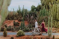 Cactus Country Guided Tour