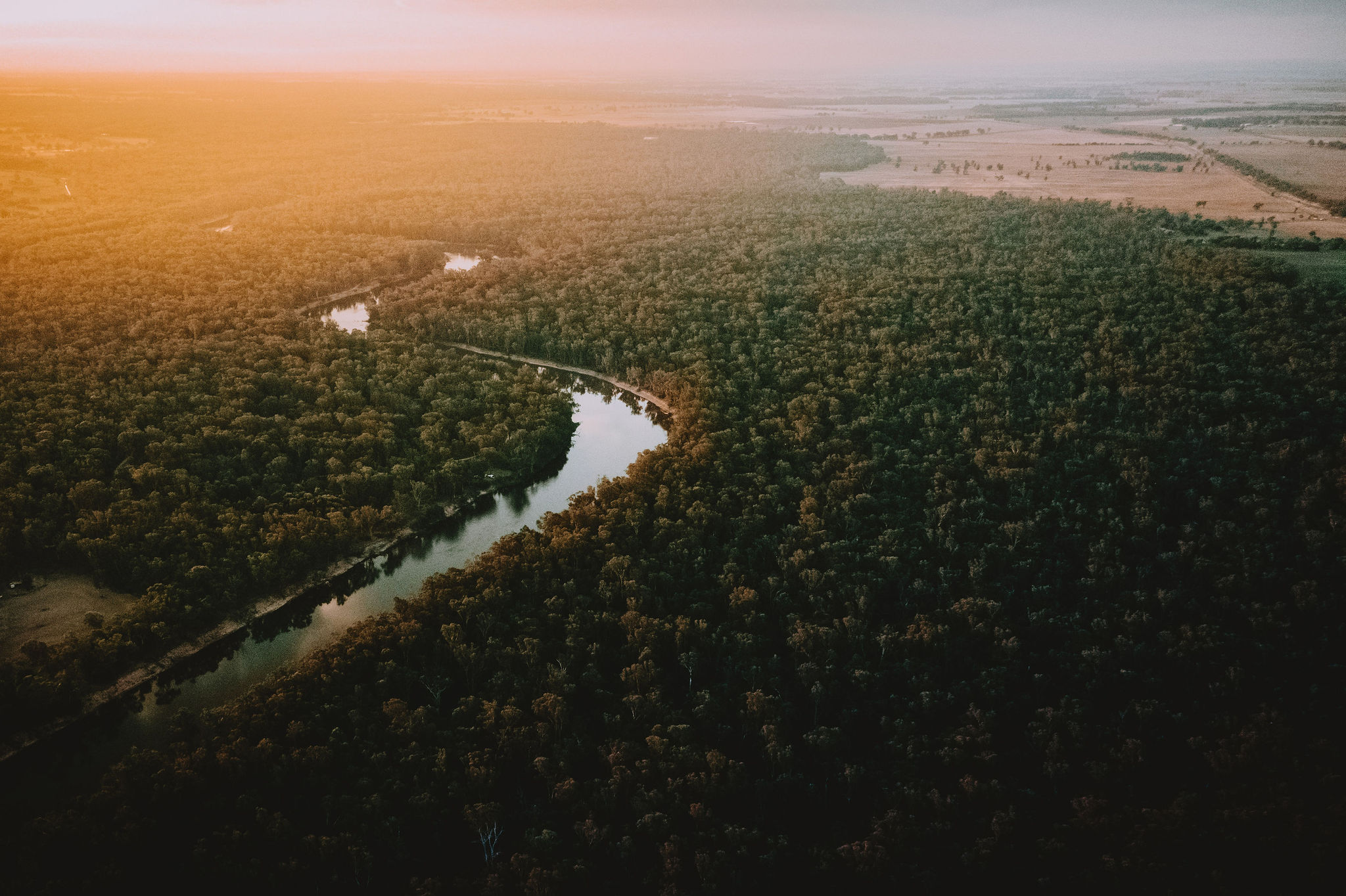 The Paddock at Ulupna: Guided Wildlife Tour with Riverside Picnic