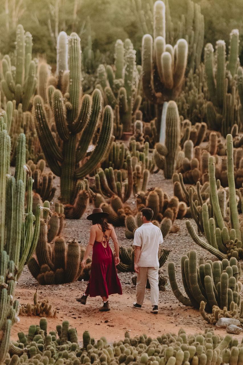 Valentine's Day Dinner 2026