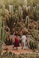 Valentine's Day Dinner 2026