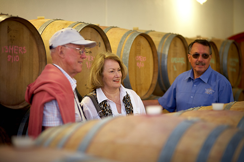 Napier City and Scenic Hawke’s Bay Private Tour, including Devonshire Tea & Gourmet Platter Lunch (6 Hours)