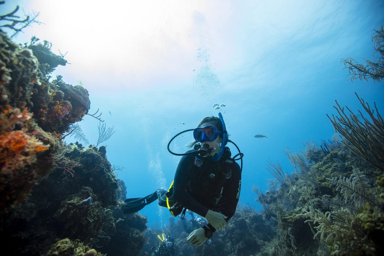 PADI DIVEMASTER COURSE 