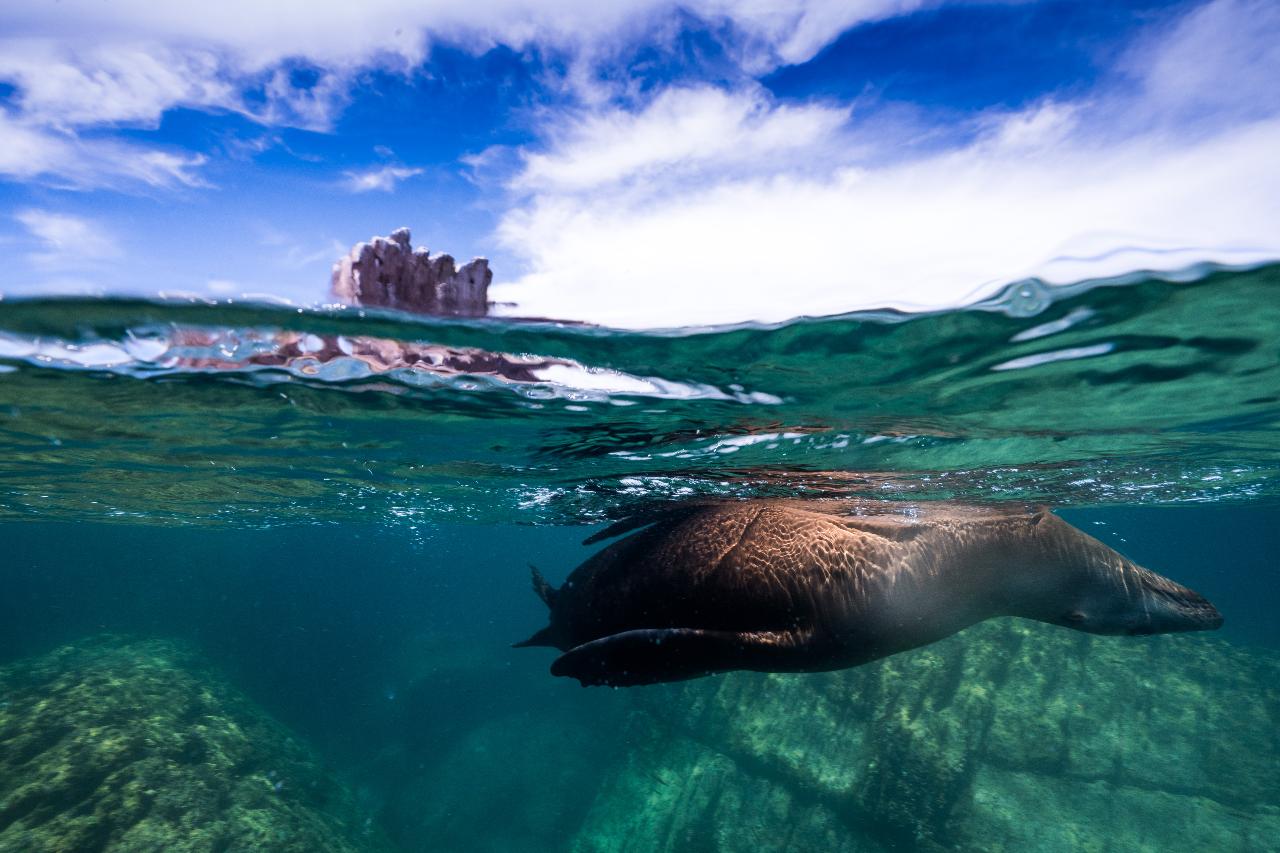 Underwater Video Course