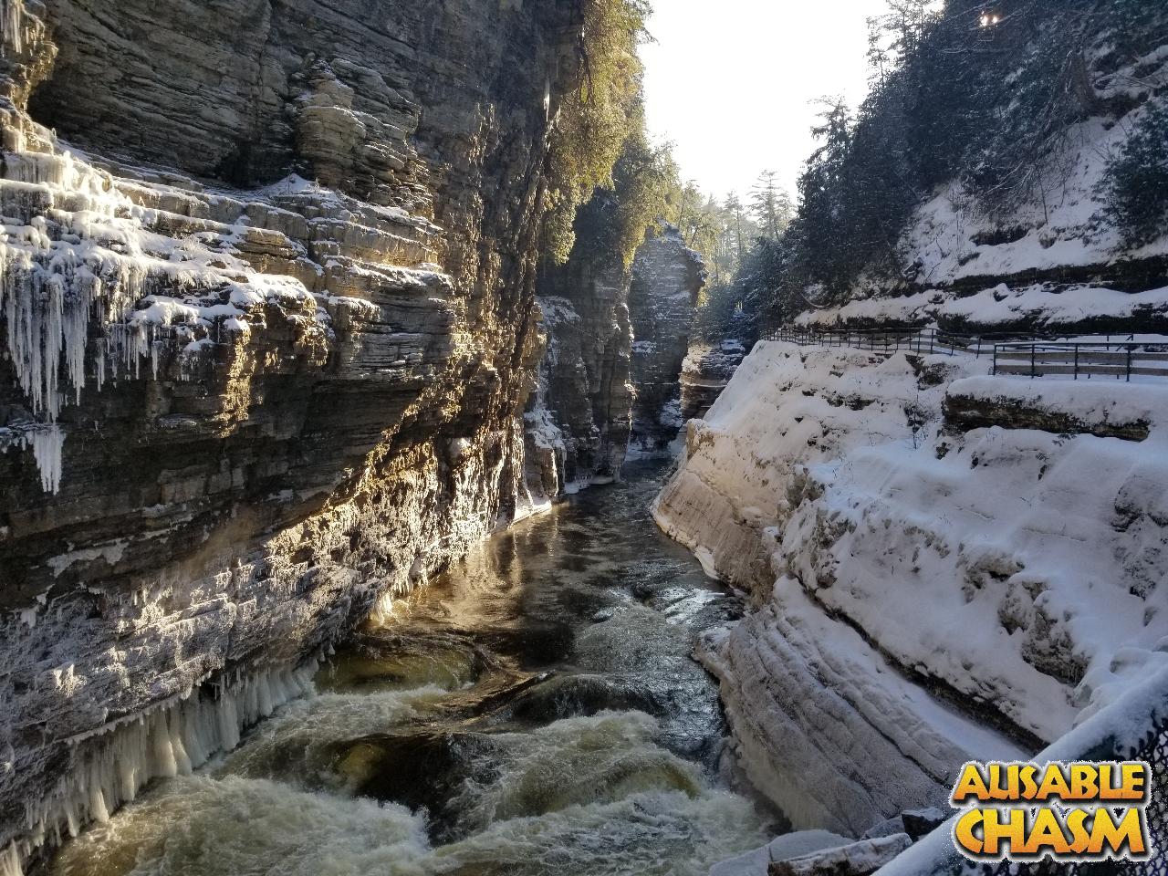 Guided Winter Tour (1-Hour)