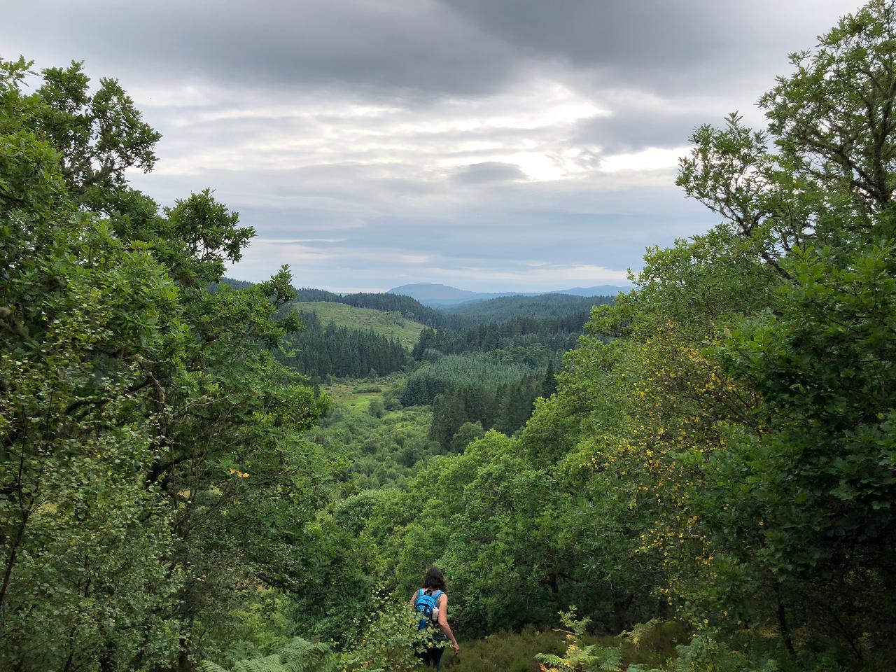 STIRLING CASTLE AND THE TROSSACHS NATIONAL PARK - 1 DAY TOUR FROM EDINBURGH 