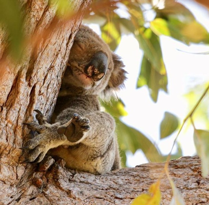 Stradbroke Island Adventure