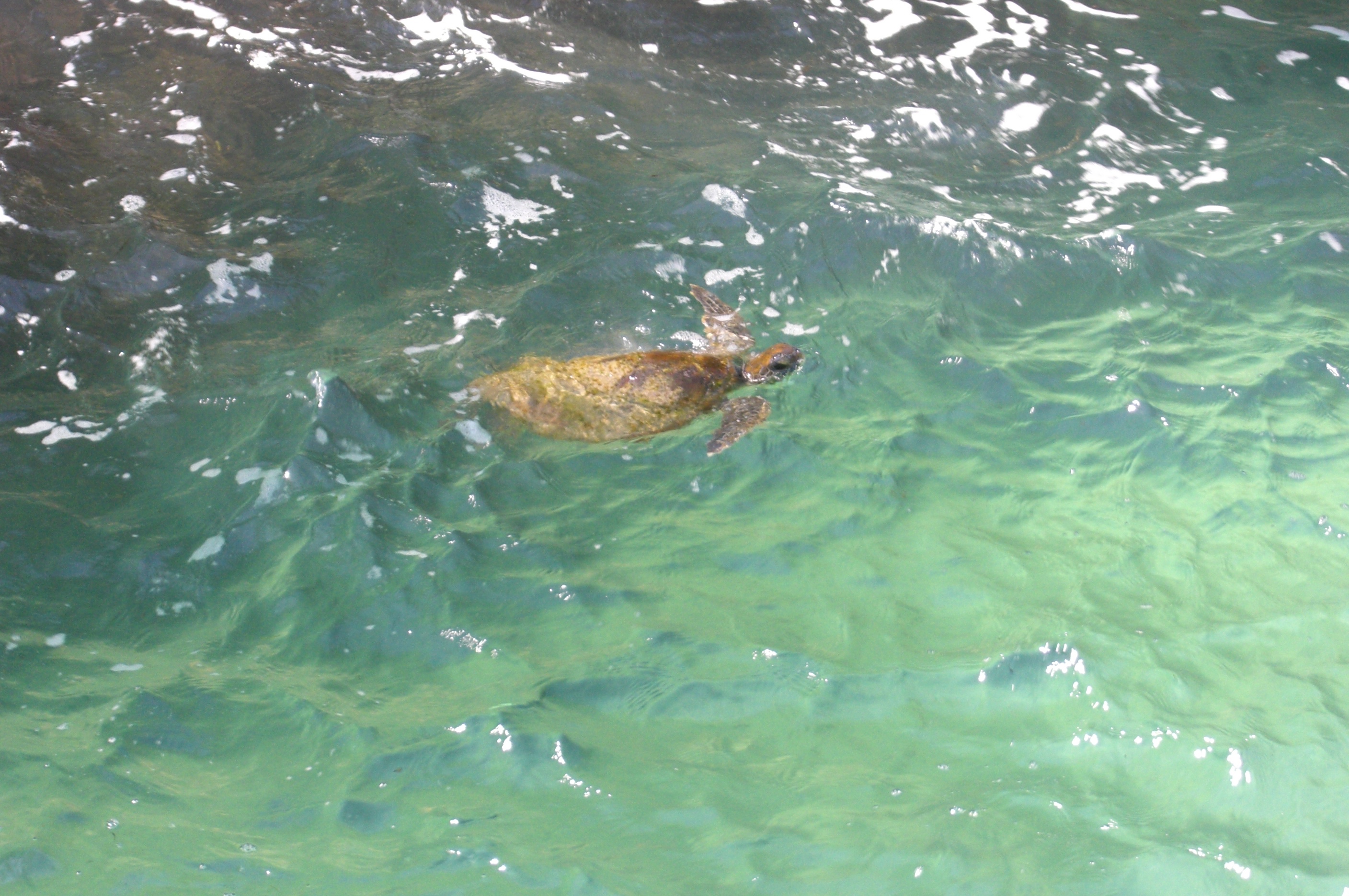 Stradbroke Island Adventure