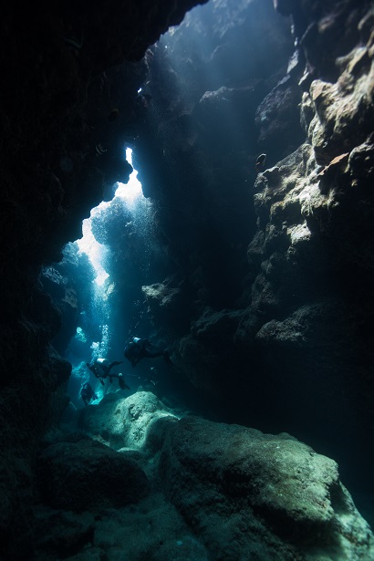 Double Scuba Dive- 2 Dive sites