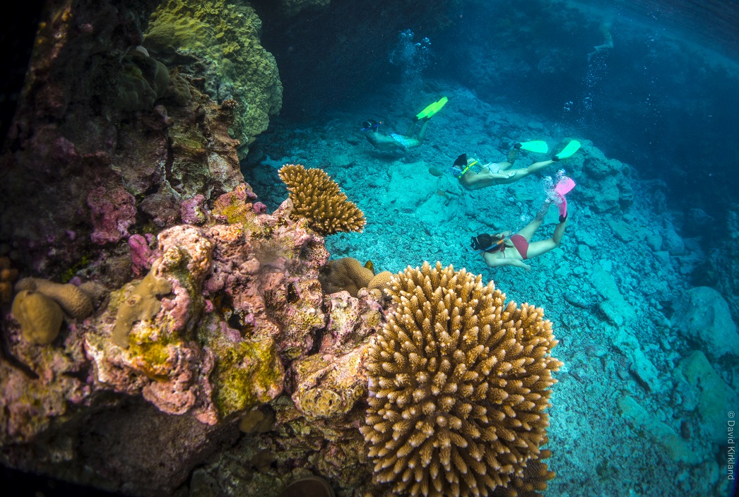 Snorkel Tour