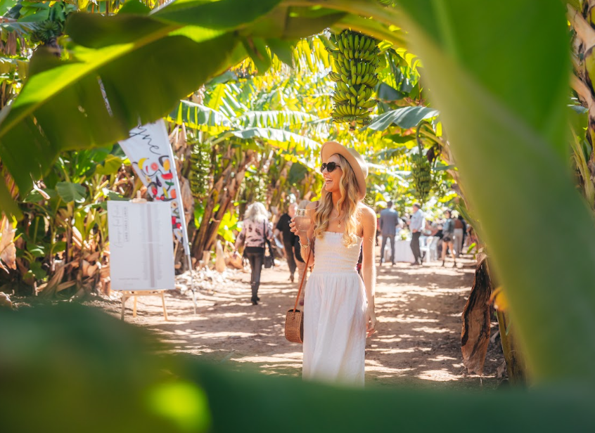 Festival Escape 