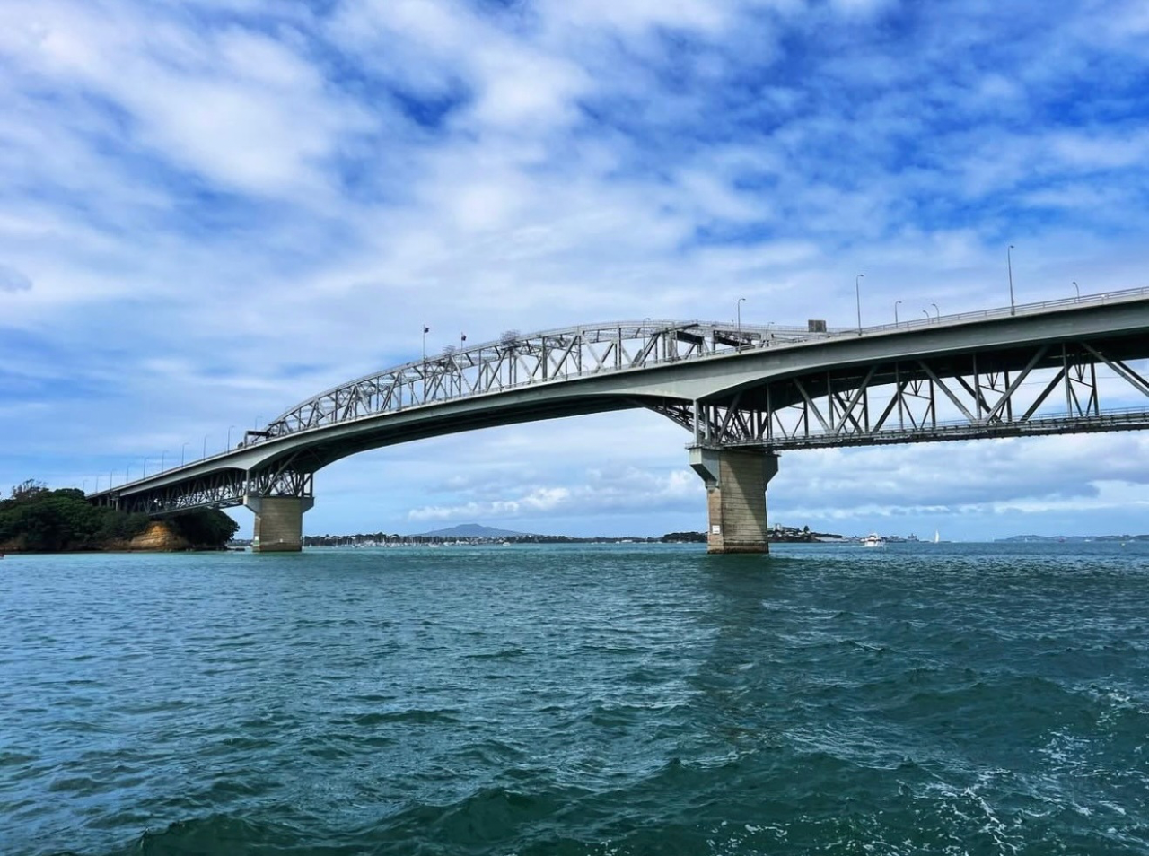 Auckland Glowworms & Harbour Trip by NZ GO Tours & Travel