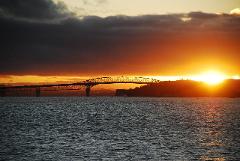 Sunset Harbour cruise