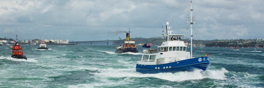 Auckland Anniversary Day - Tug Boat Race Cruise