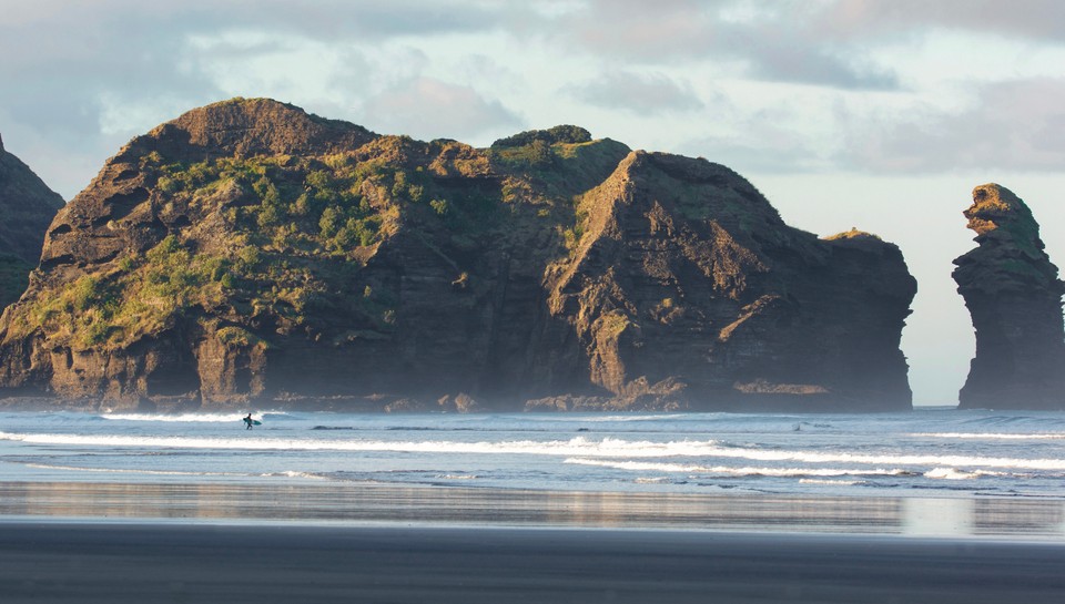 Piha Experience Eco Day Tour