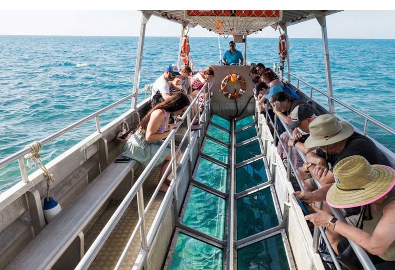 glass bottom boat tour aruba
