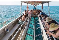 Glass Bottom Boat Dry Tour - 3:00pm