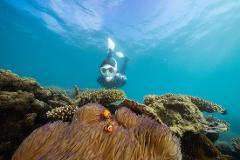 Full Day Tour | 11am - 5pm Ferry