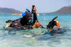 Full Day Tour & Discover Scuba Diving | 8:00am to 5:00pm | Fitzroy Flyer