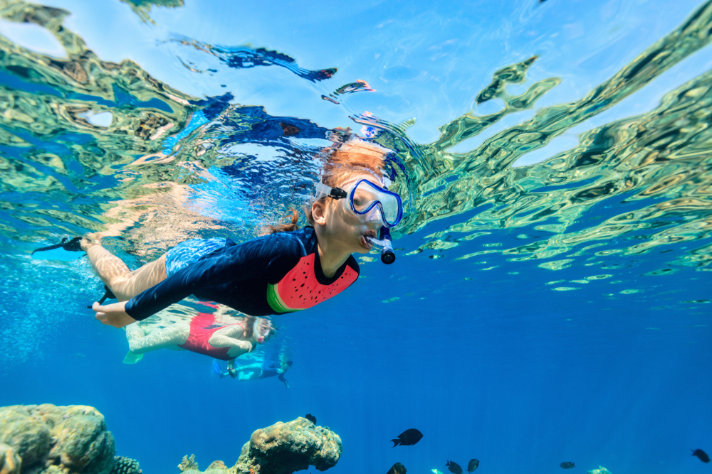 Guided Snorkel Tour - 1:00pm