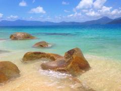 Full Day Tour | 11am - 5pm Ferry