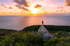 Half Day Tour | 1:30pm - 5pm Ferry 