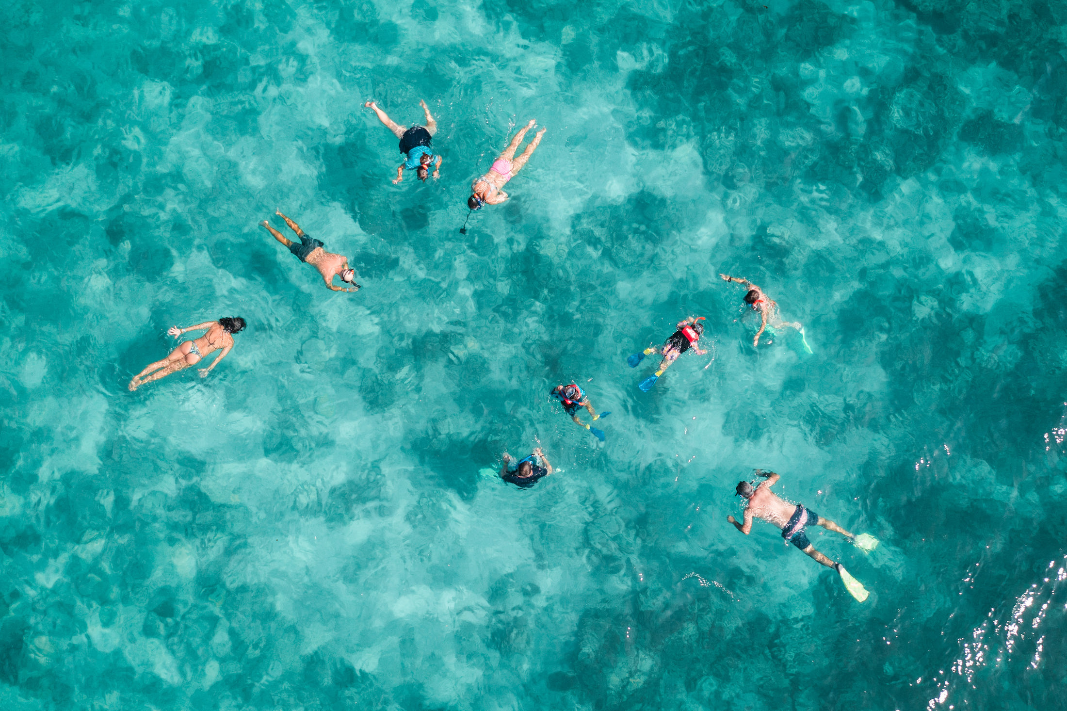 Full Day Tour 800am Cairns to Fitzroy Island & 1000am Snorkel