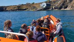 Coastal Boat Tours in Newquay (From the Harbour)
