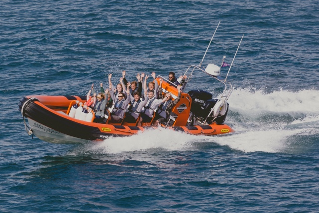 newquay harbour boat trips