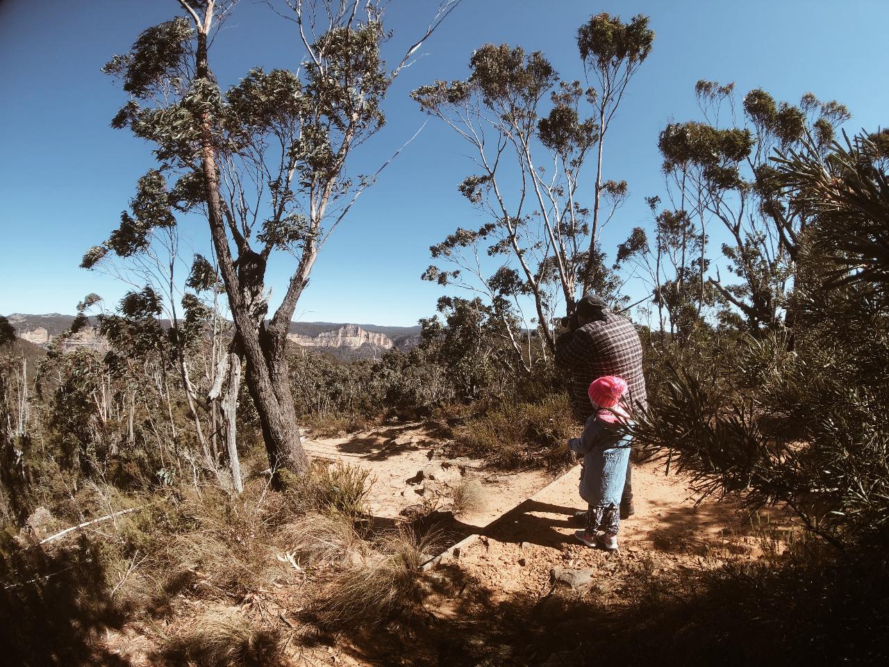  Blue Mountains 3 valley Guided Bushwalking