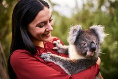 Cleland Private Koala Hold & Adelaide City Highlights