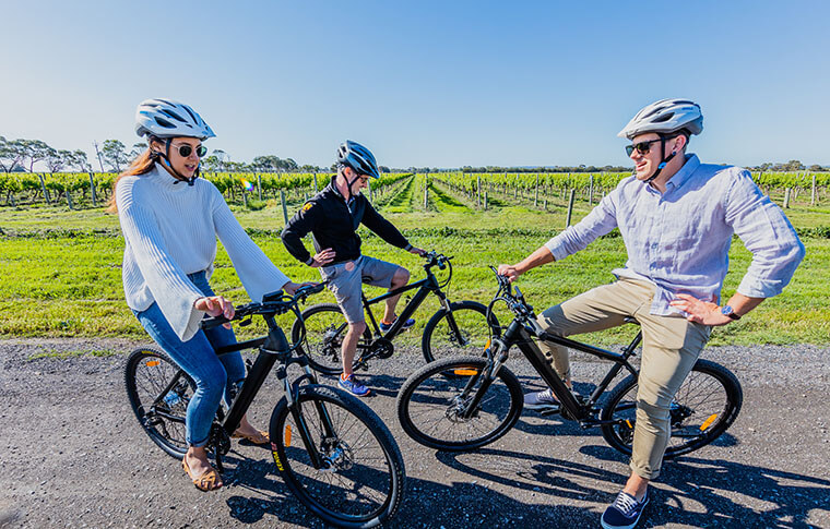 E-Bike Hire | McLaren Vale