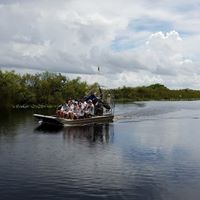 1.5 Hour Private Airboat Tour