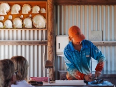 BME-WCP | Pearls & Coast Flight & Willie Creek Pearl Farm Tour ex Broome