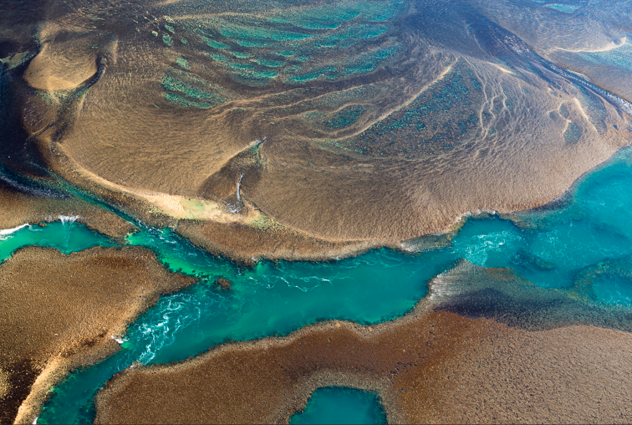 BME-MHFD | Montgomery Reef & Horizontal Falls Discoverer (includes landing, boat tour & lunch) ex Broome