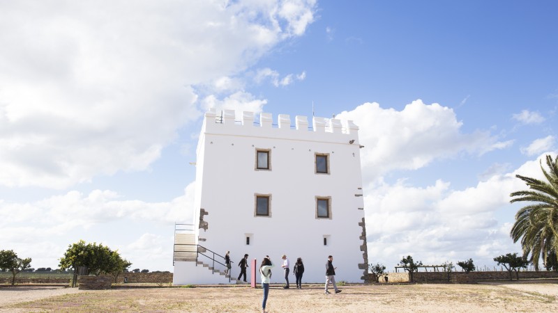 Visit to the Historic Center