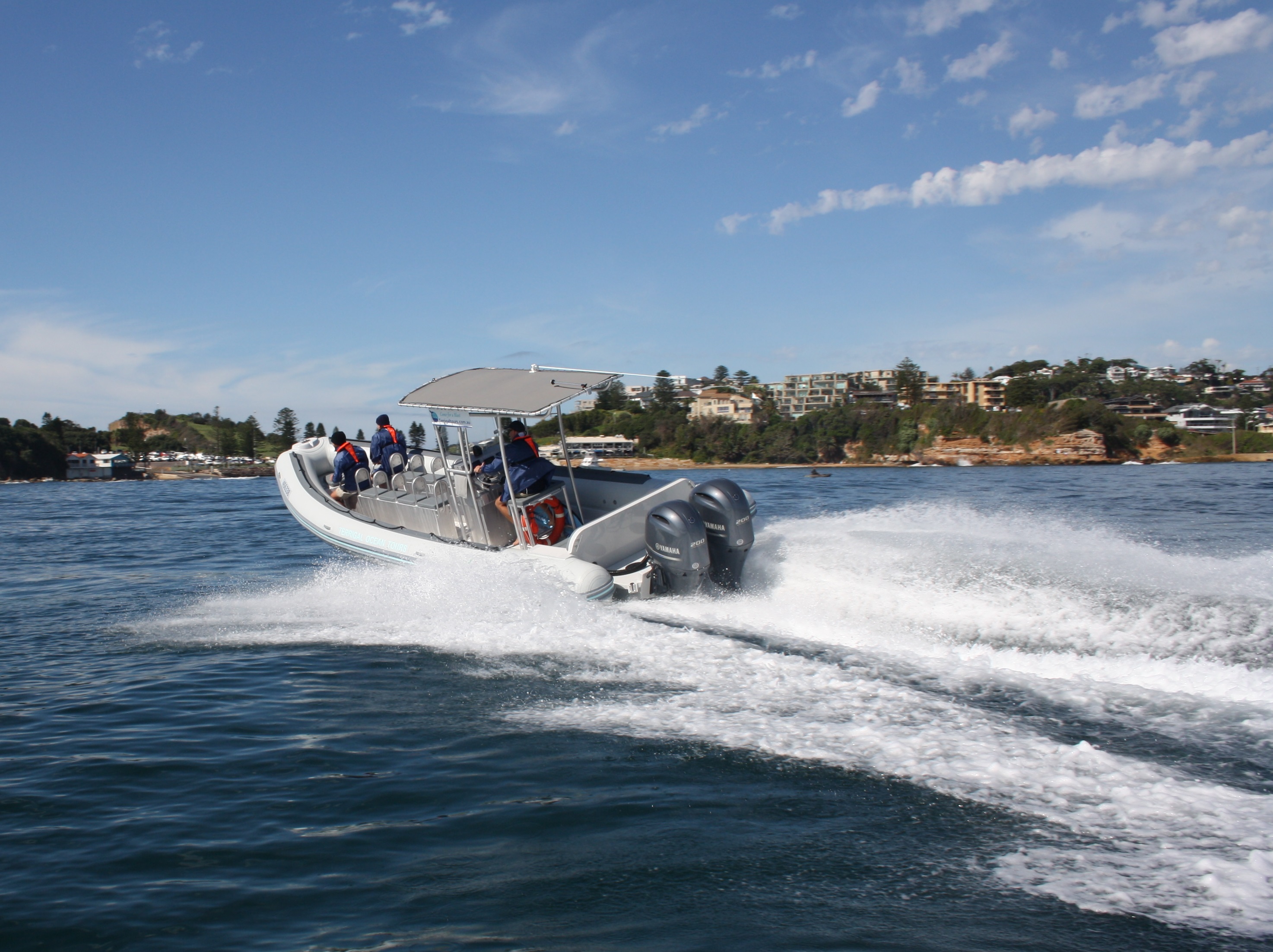 Whale Watching Terrigal