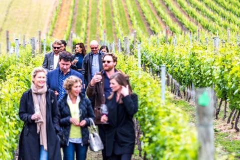 Tasmanian Wine Tour – Full Day Tour Tasmania Australia