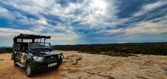 Full Day - Kruger National Park 