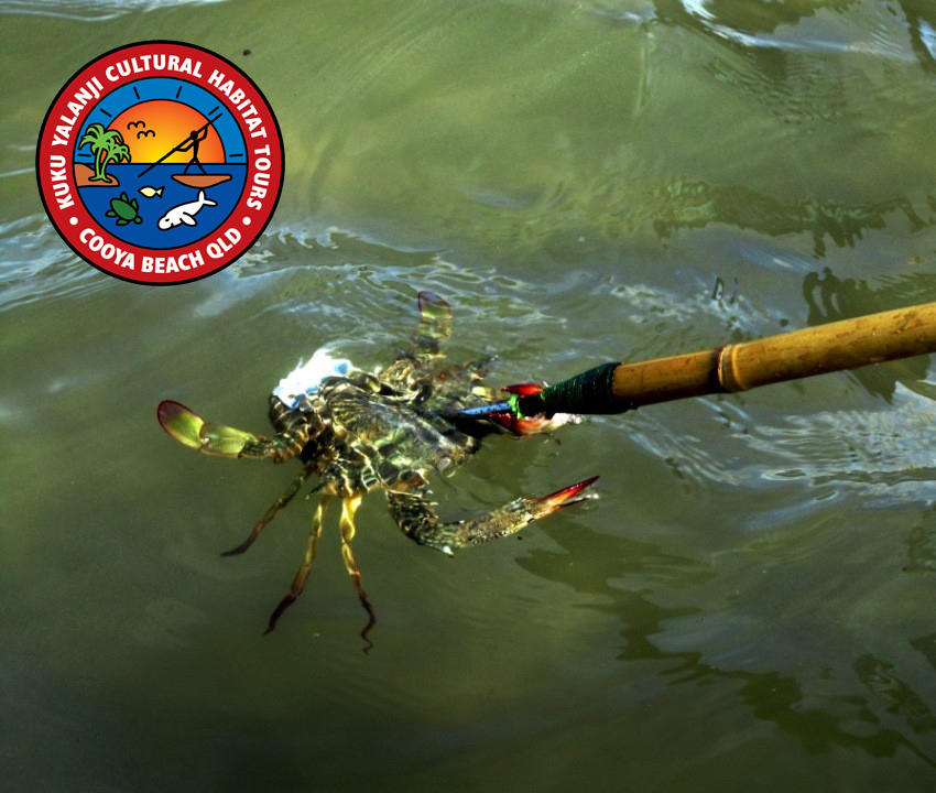 Walkabout Cultural Adventures - Half Day Tour - Afternoon