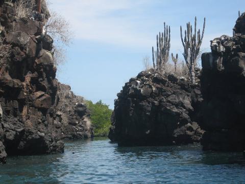 Galápagos Adventure 4D 3N!