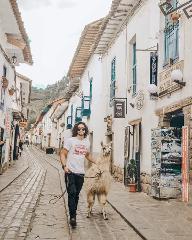 Private Cusco Walking Tour I