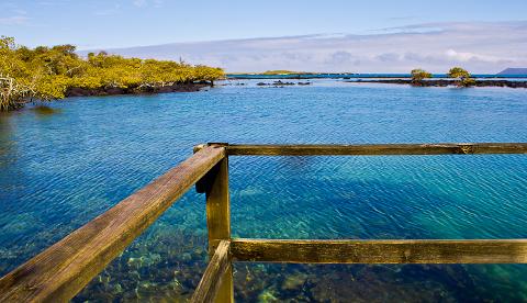 Concha Perla Bay Tour in Isabela Island