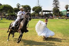 Half Day Tour - Horse Exhibition at "Valle de Lurín" + Lunch